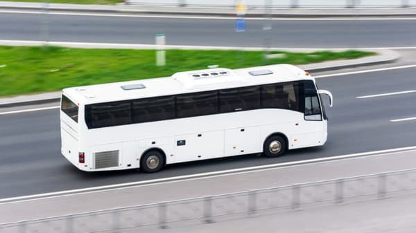 A Tour Group Wants to Day Trip